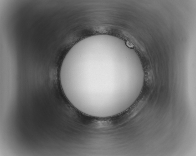 X0000101400466200807211038