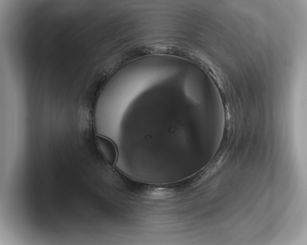 X0000101400467200807211038