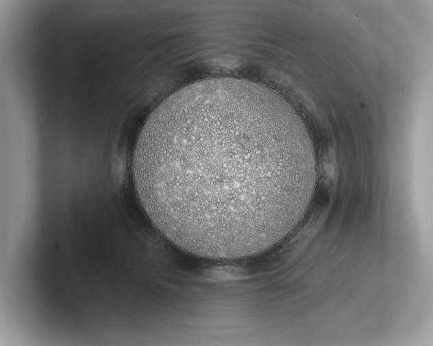 X0000101400468200807211038