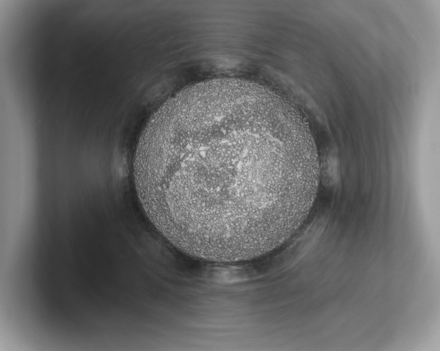 X0000101400472200807211038