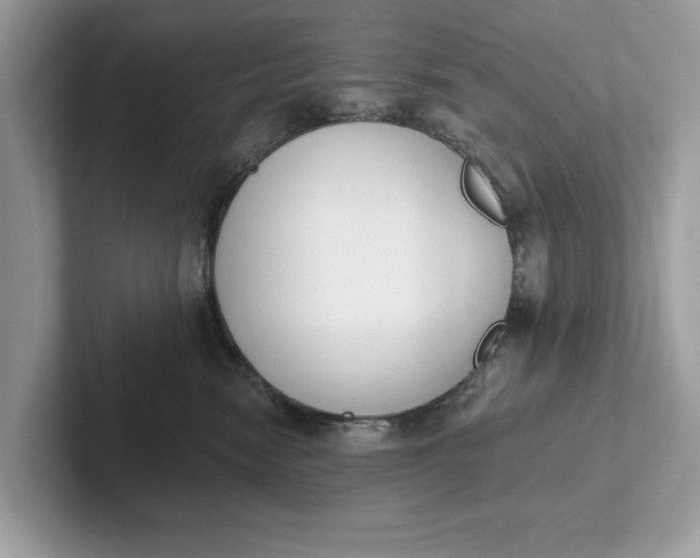 X0000101400474200807211038