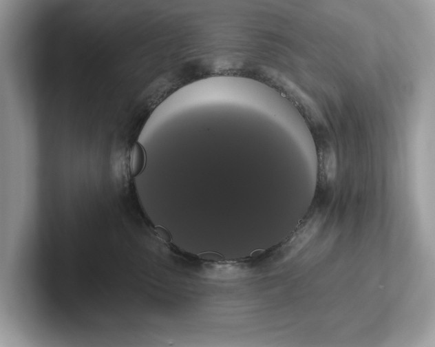 X0000101400475200807211038