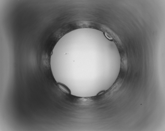 X0000101400477200807211038