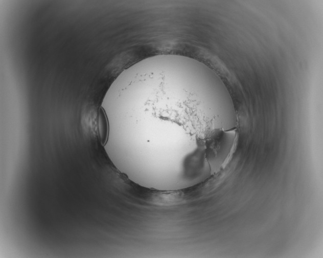 X0000101400479200807211038