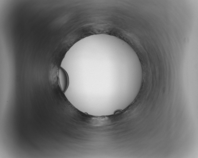 X0000101400480200807211038