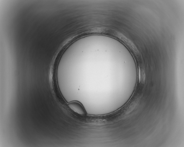 X0000101400483200807211037