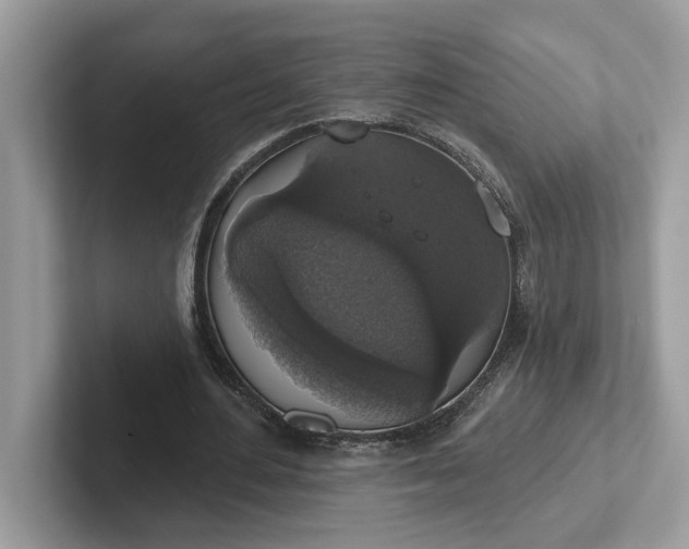 X0000101400484200807211037