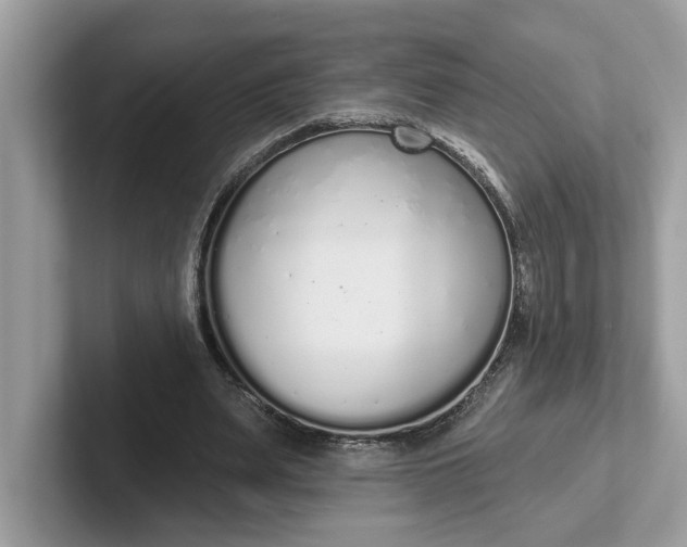 X0000101400487200807211037