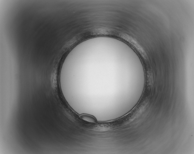 X0000101400489200807211037