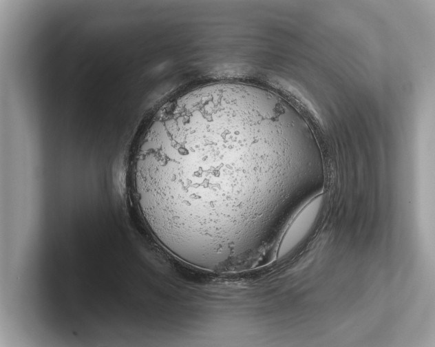 X0000101400491200807211037