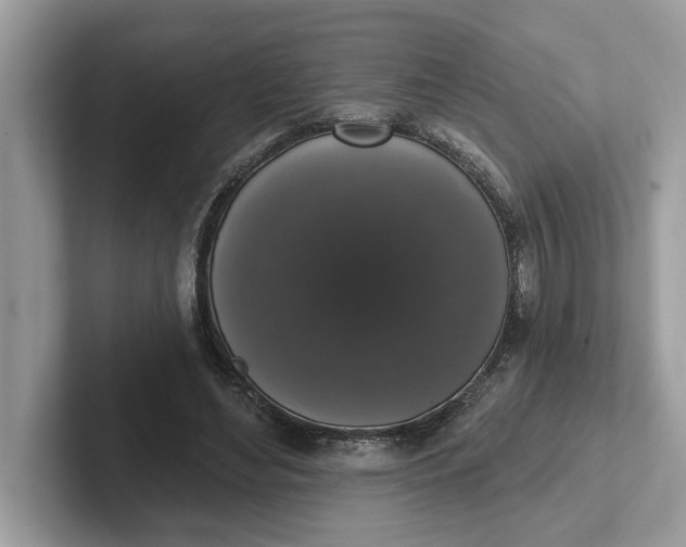 X0000101400492200807211037