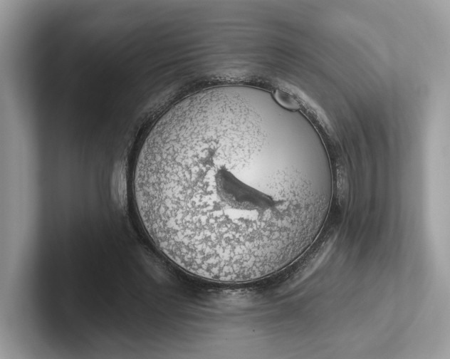 X0000101400493200807211037