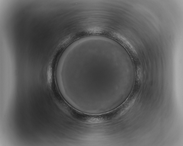 X0000101400494200807211037