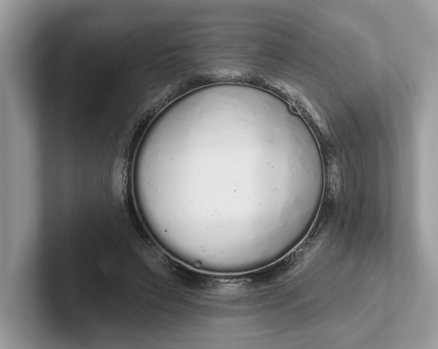 X0000101400495200807211037