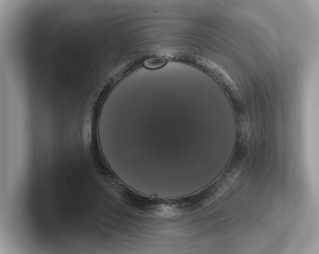 X0000101400496200807211037