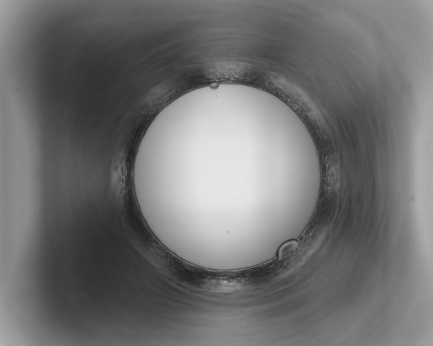 X0000101400498200807211037