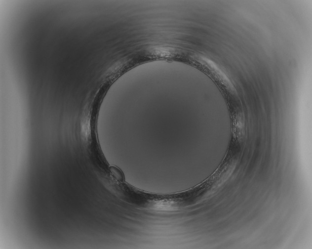 X0000101400500200807211037