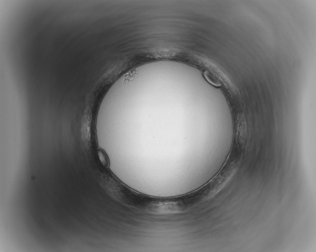 X0000101400501200807211037