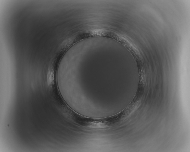 X0000101400502200807211037