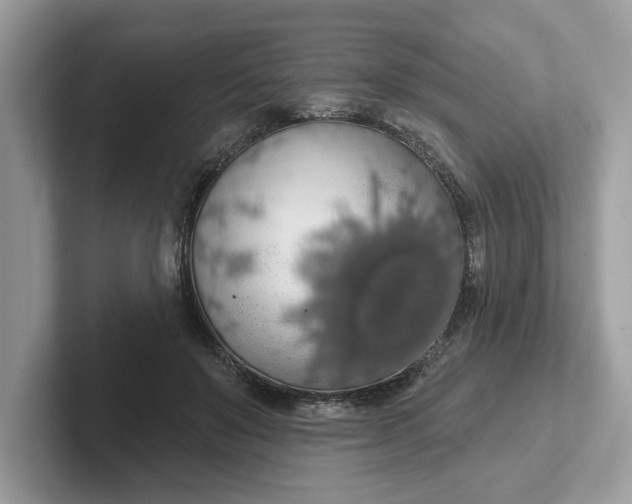 X0000101400503200807211037