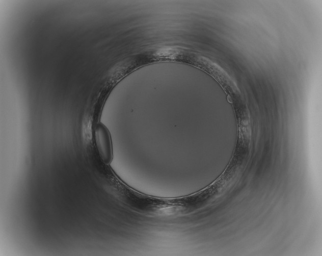 X0000101400504200807211037