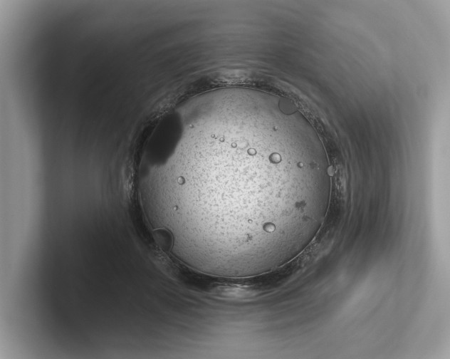 X0000101400507200807211037