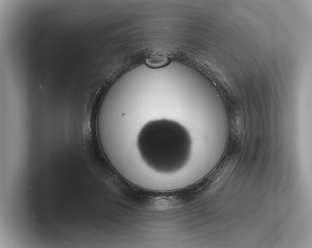 X0000101400508200807211037