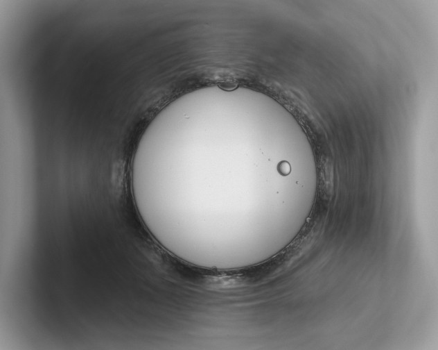 X0000101400511200807211037