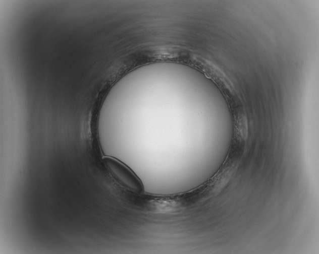 X0000101400512200807211037