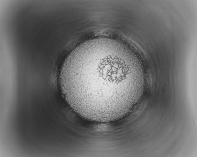 X0000101400513200807211037