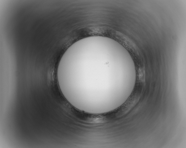 X0000101400514200807211037