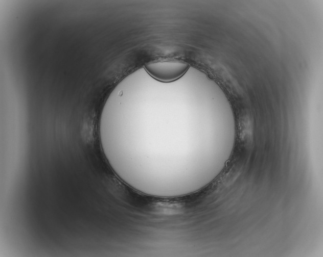 X0000101400515200807211037