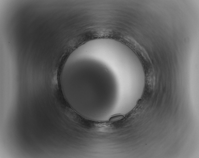 X0000101400516200807211037