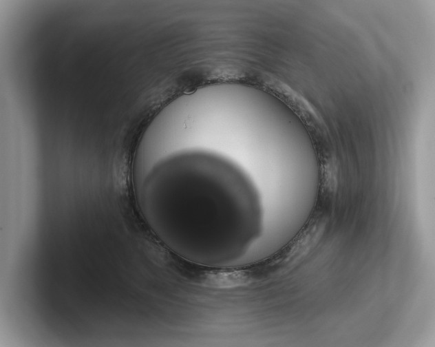 X0000101400517200807211037