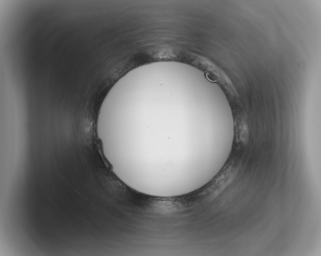 X0000101400521200807211037