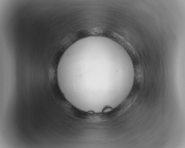 X0000101400523200807211037