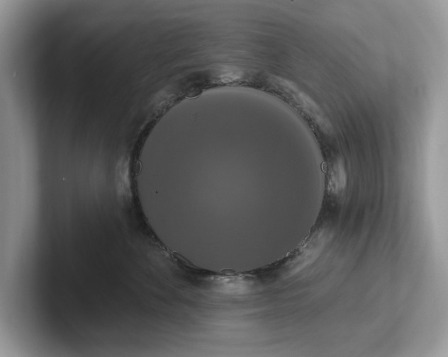 X0000101400524200807211036