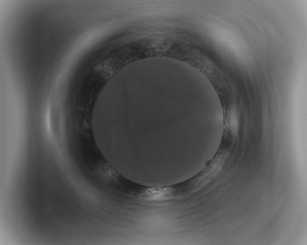 X0000101400526200807211036