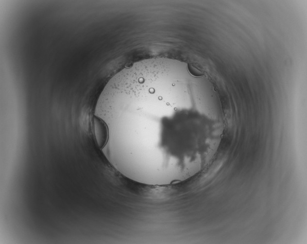 X0000101400527200807211036