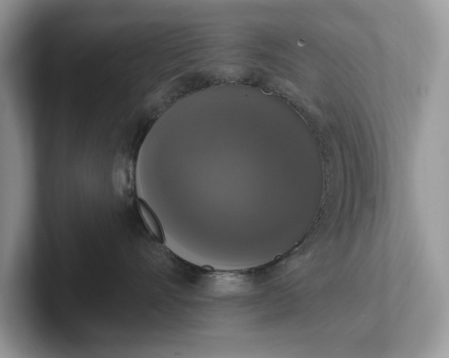 X0000101400528200807211036