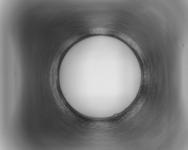 X0000101400529200807211036