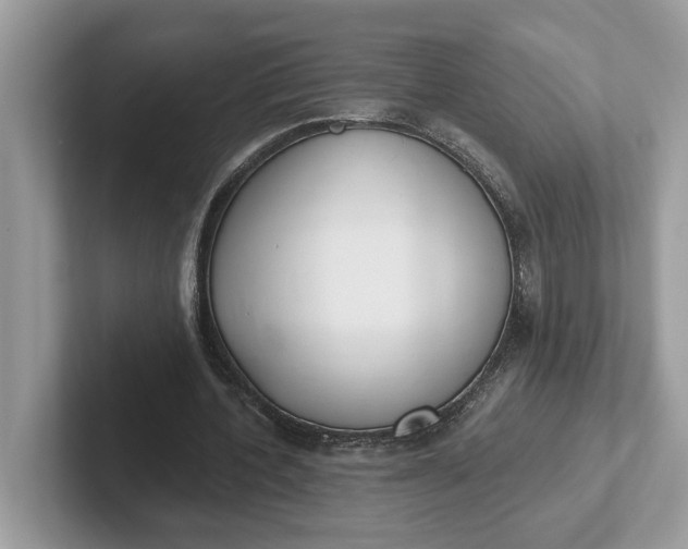 X0000101400532200807211036