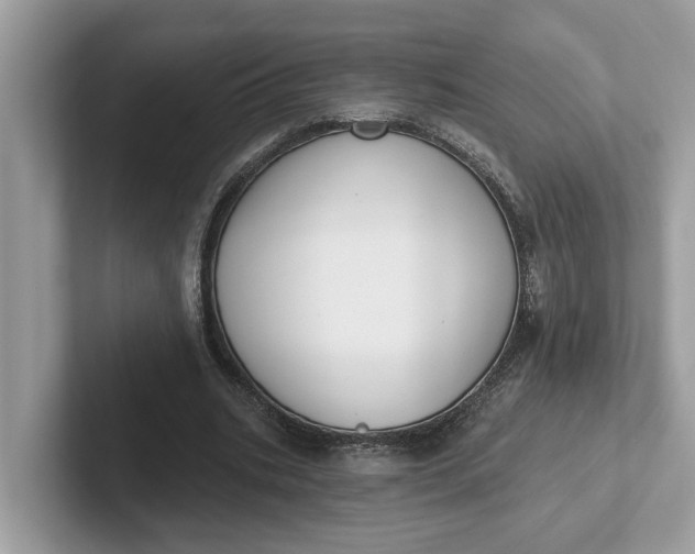 X0000101400535200807211036