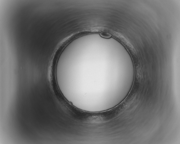 X0000101400536200807211036