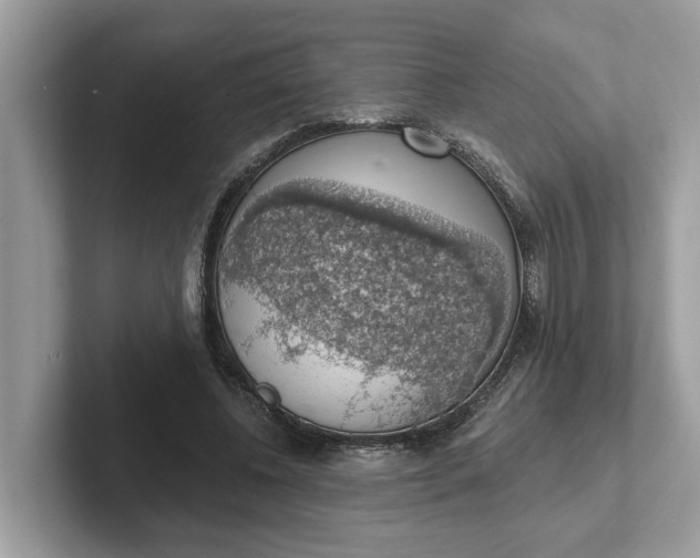 X0000101400540200807211036