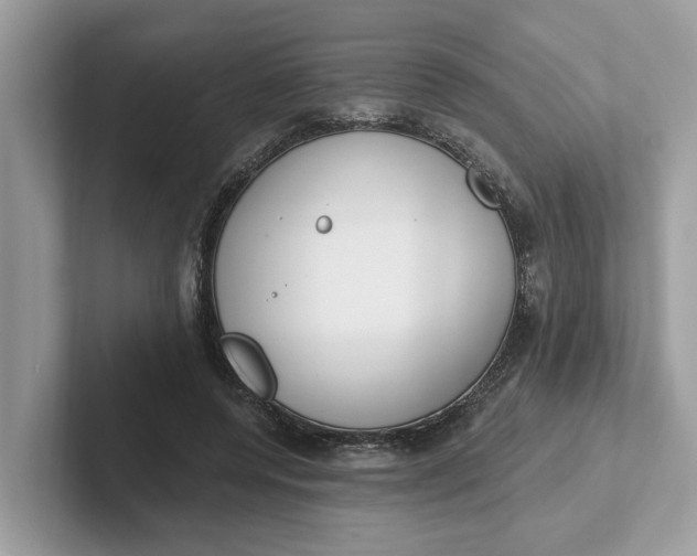 X0000101400544200807211036