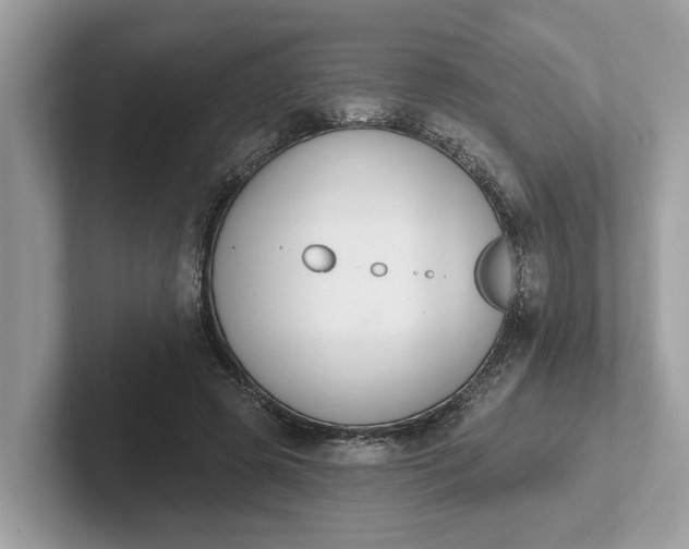 X0000101400545200807211036