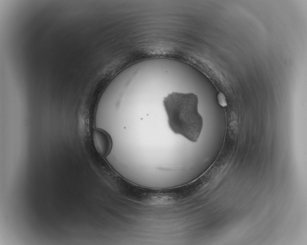 X0000101400547200807211036