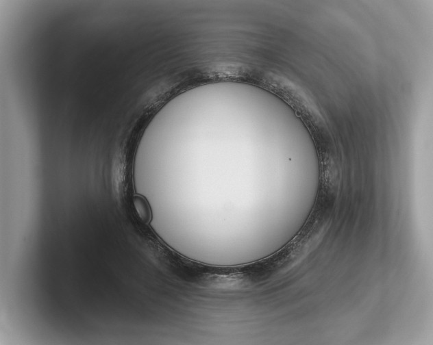 X0000101400548200807211036