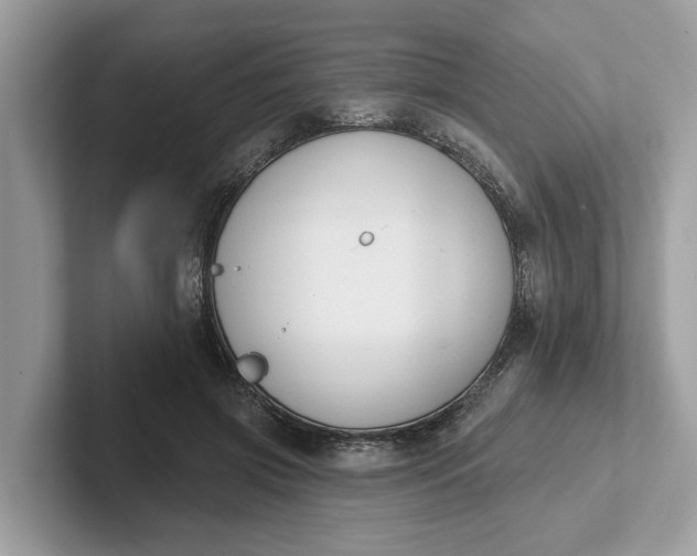 X0000101400549200807211036